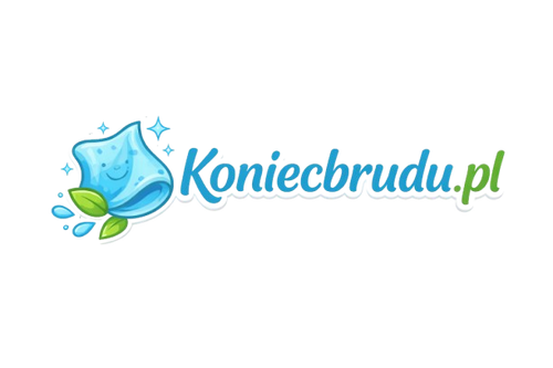 Koniec brudu
